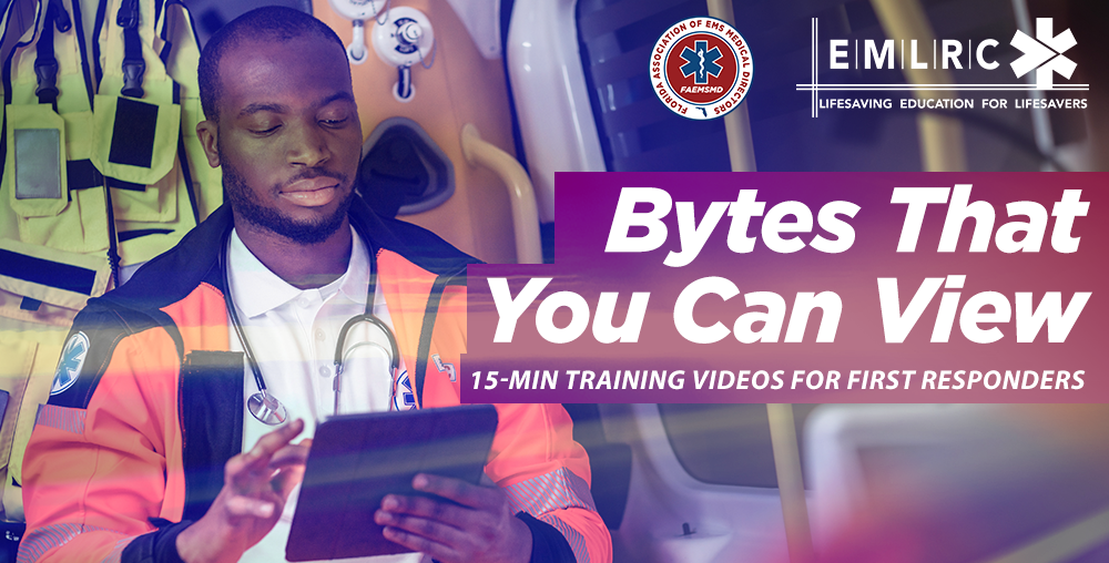 Bytes that You Can View